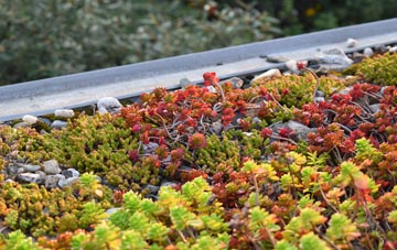 the cost of Wymering green roof installation